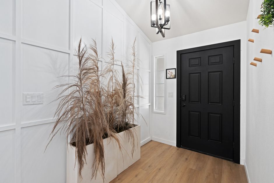 Modern house entry door